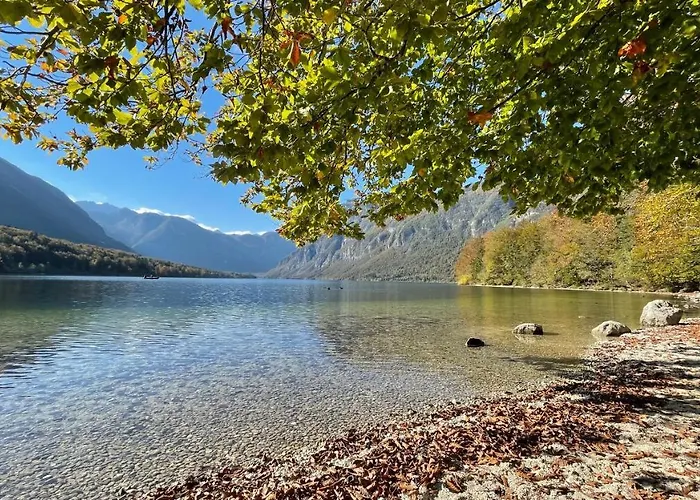 Gæstehus Zotlar House 3*